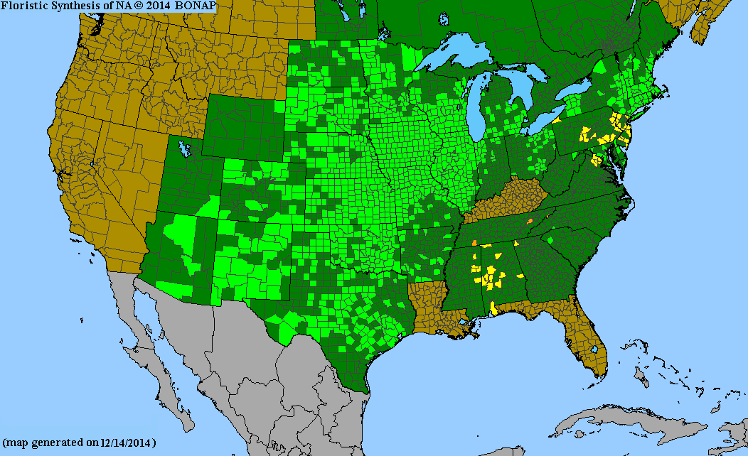 County distribution map of Symphyotrichum ericoides var. ericoides - White Heath American-Aster